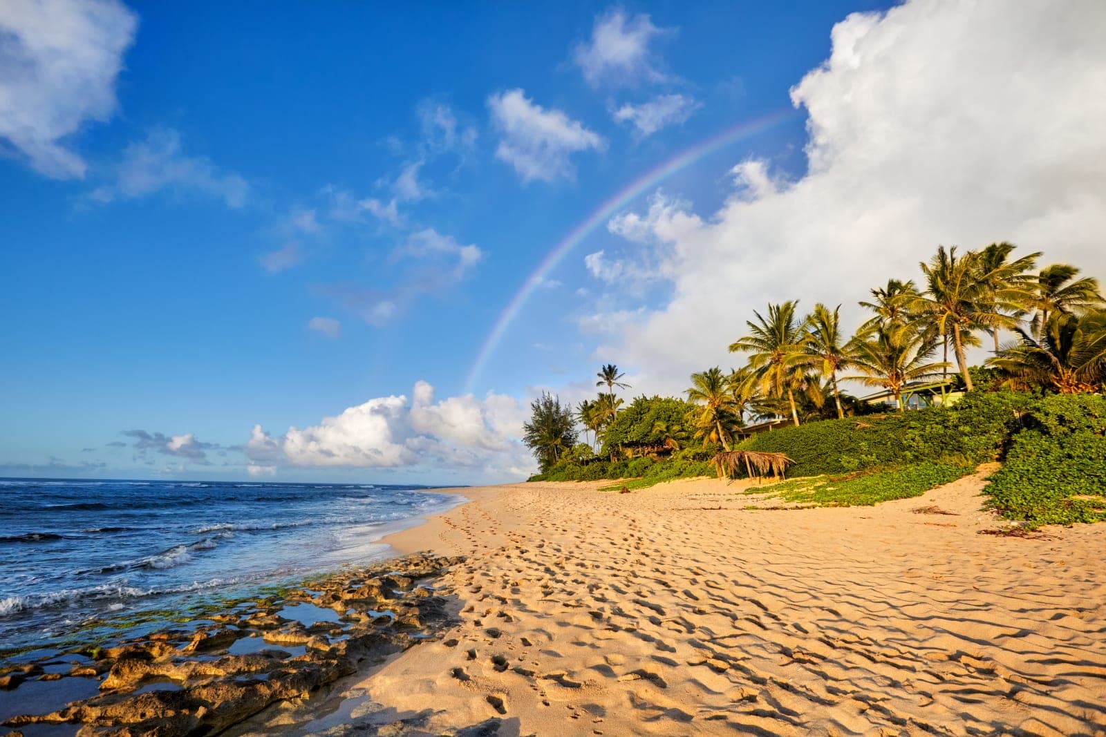 Paradise Apartment in North Shore Oahu, Hawaii